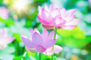 夏季休業のお知らせ|ゆめたまご安城|はぐくみサポートゆめたまご|行政向け子育支援・教職員研修|企業団体研修|個人カウンセリング